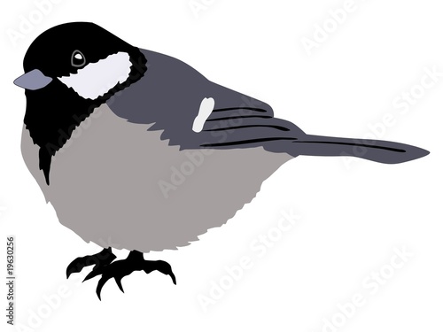 tit