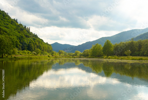 Summer landscape.