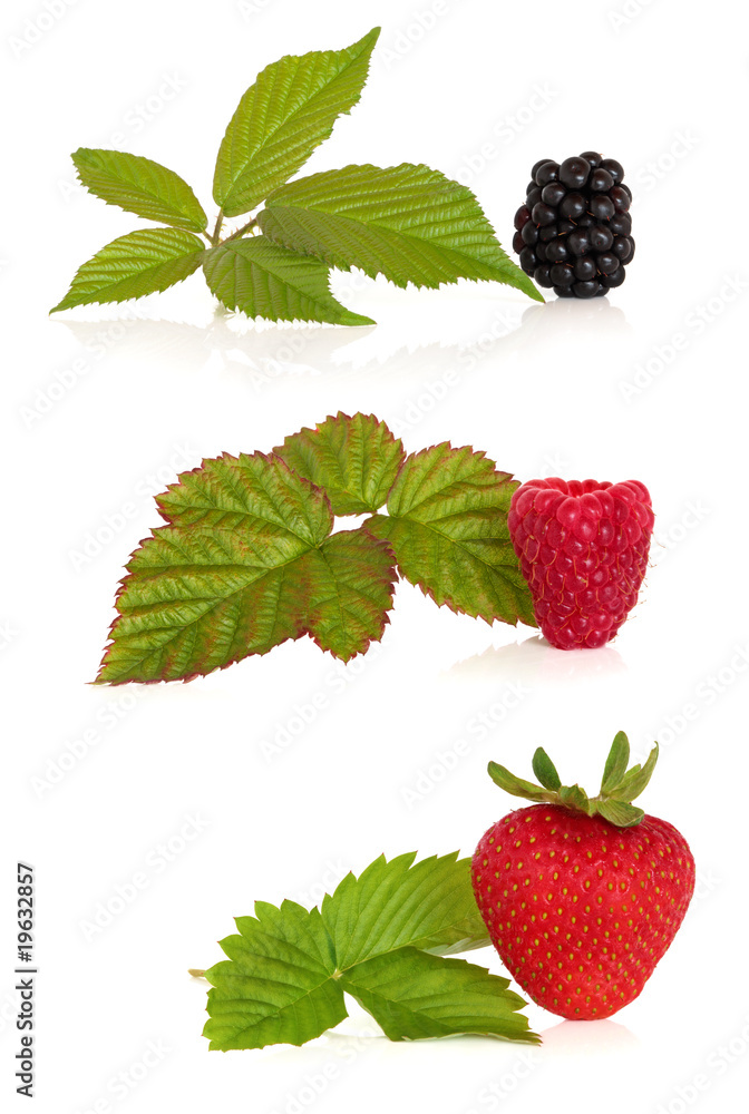 Blackberry, Raspberry and Strawberry Blackberry, Raspberry and Strawberry