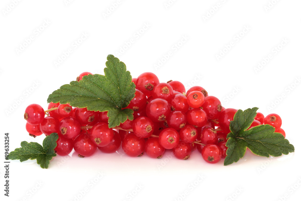 Redcurrants Redcurrants