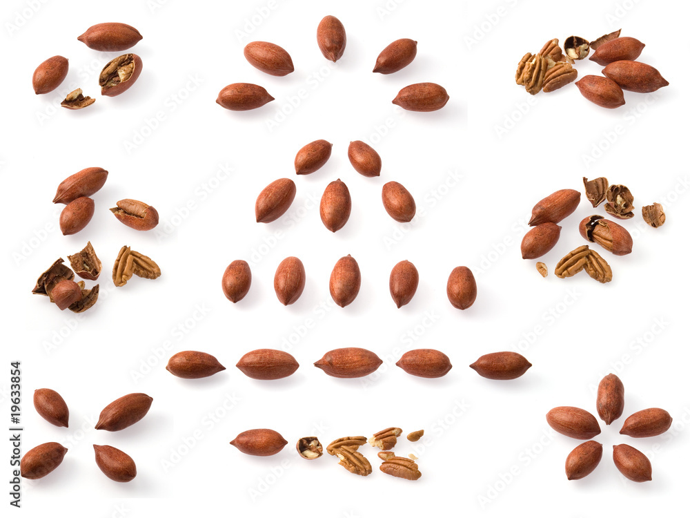 Obraz premium Pecan collection