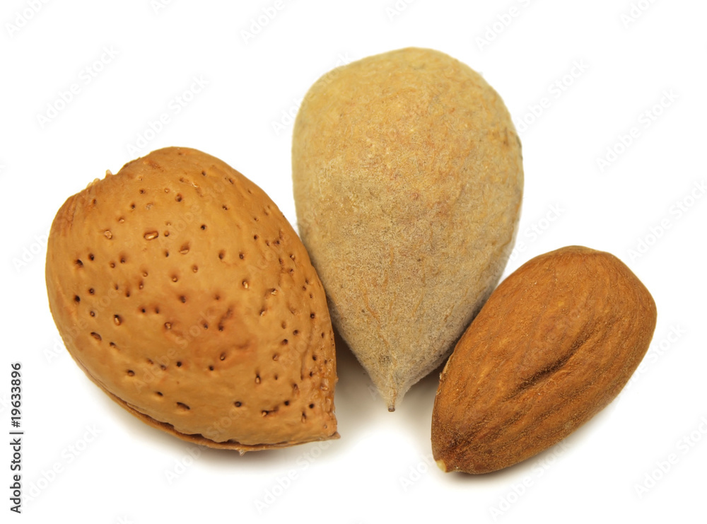 Almond seeds isolated on white Almond seeds isolated on white