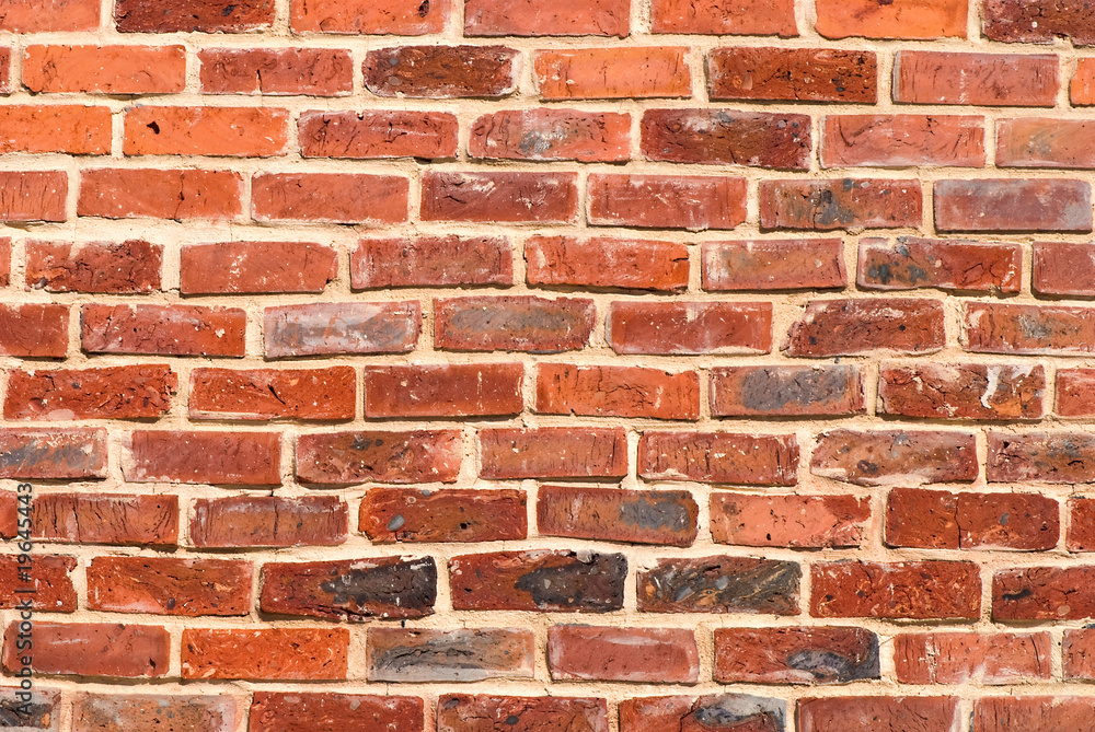 Fototapeta premium wall