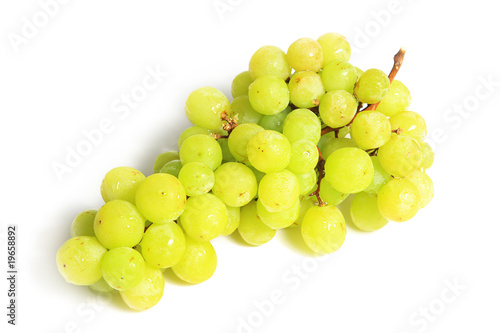 The grape