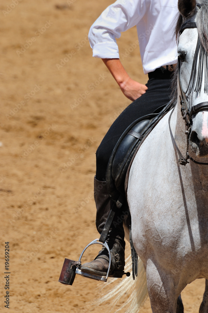 Obraz premium Jinete y Caballo