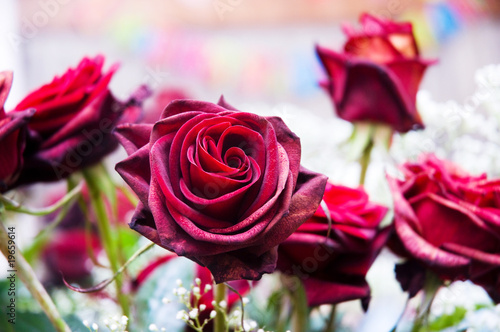 Red roses and other flowers in arrangement