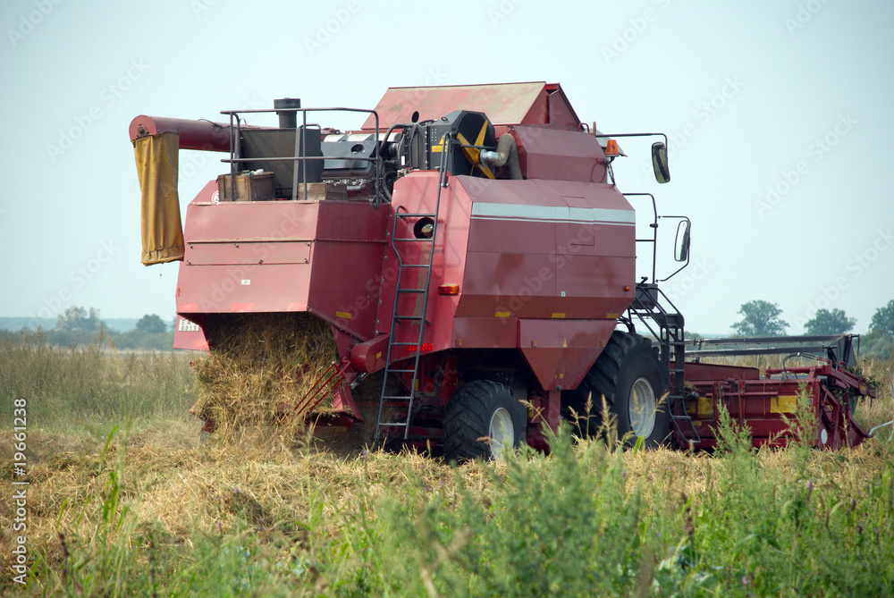 Red grain harvester combine in a field Red grain harvester combine in a field