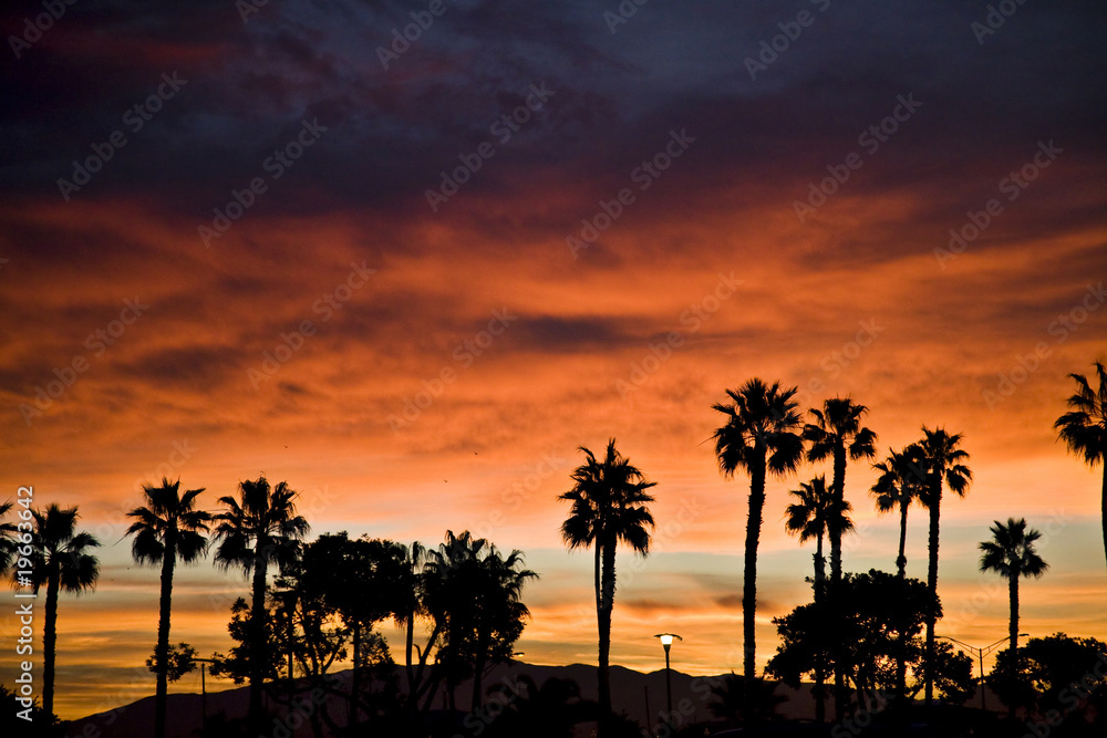 Sunrise in  Coronado - obrazy, fototapety, plakaty 