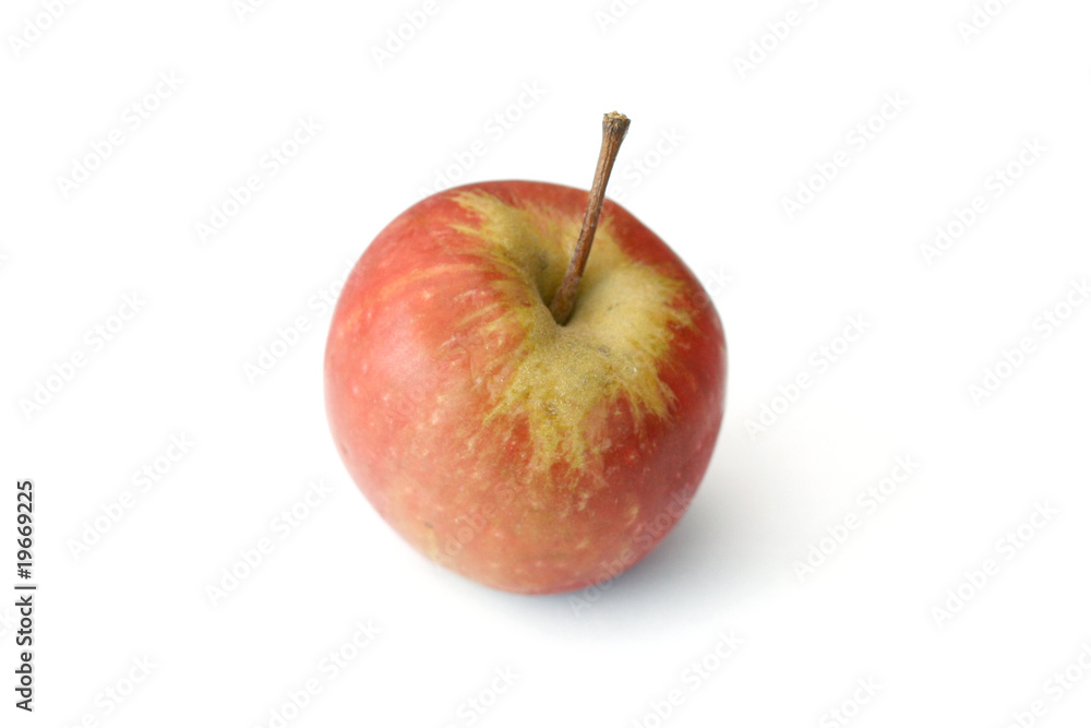 Apple Apple