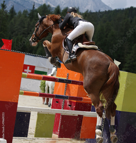 Beautiful lady jumping with her stud horse during a show jumping