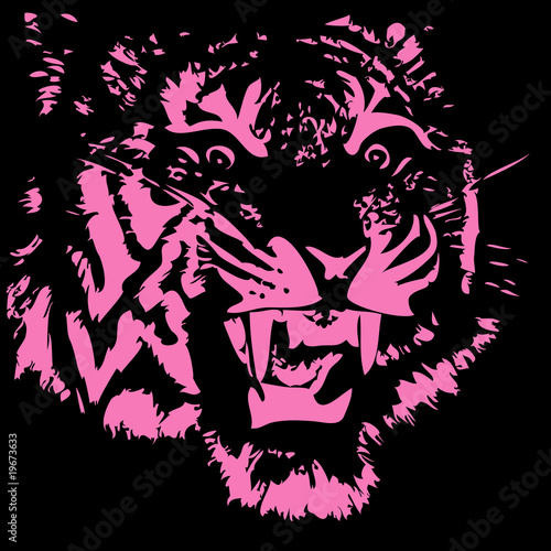 Head of the furious tiger on a black background
