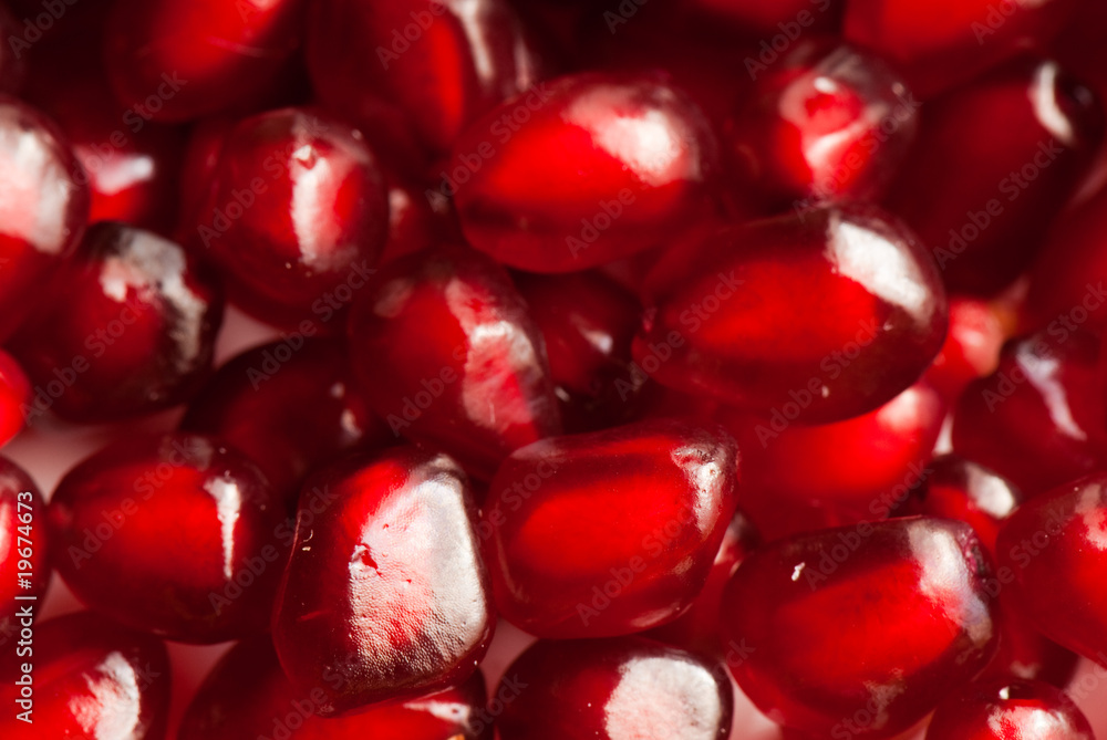 pomegranate pomegranate