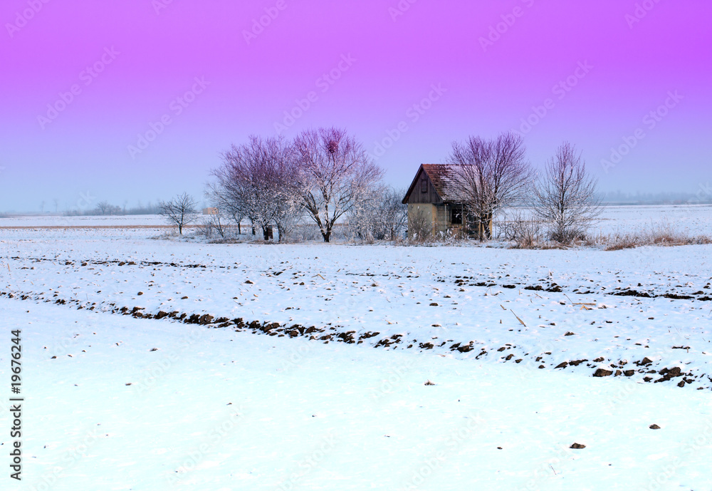 Obraz premium small house and a tree in winter