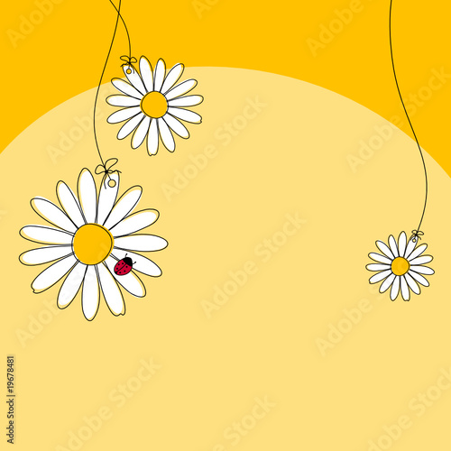Gänseblümchen gelb
