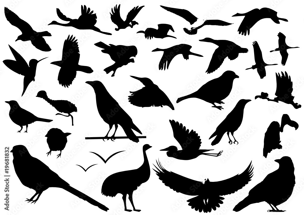 Obraz premium Sammlung Voe