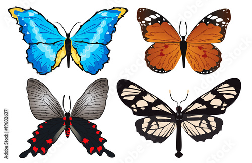 Butterflies