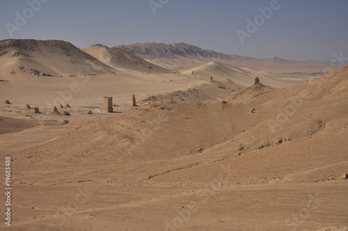 Palmyra desert