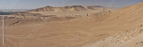 Obraz w ramie Palmyra desert