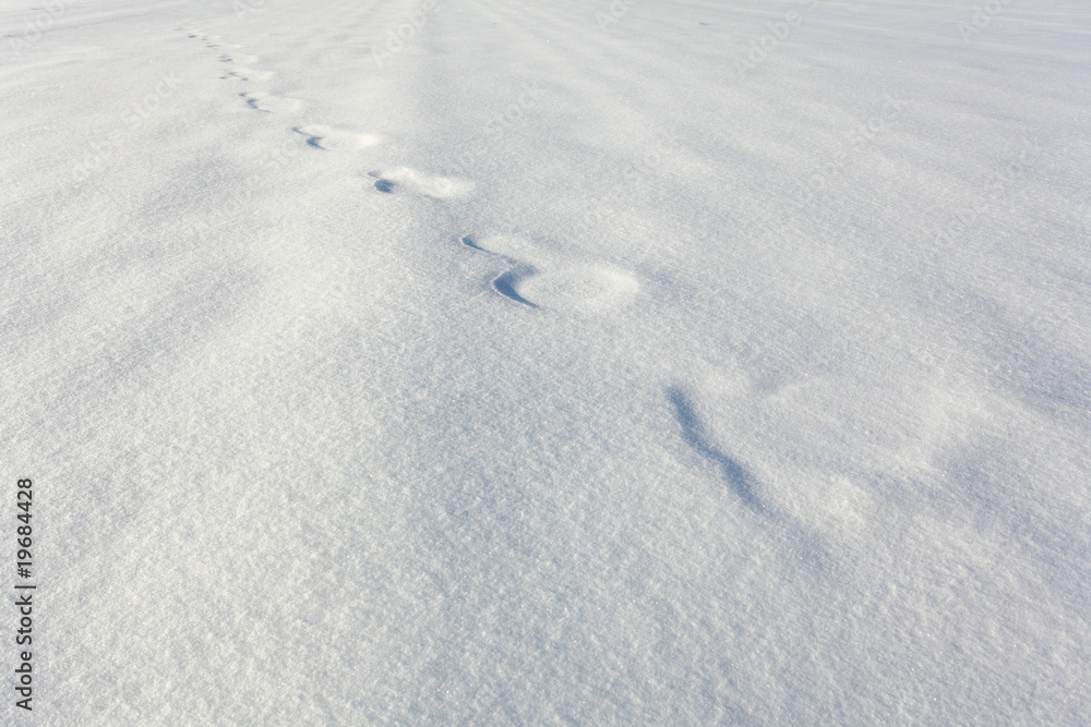 Spuren im Schnee Spuren im Schnee