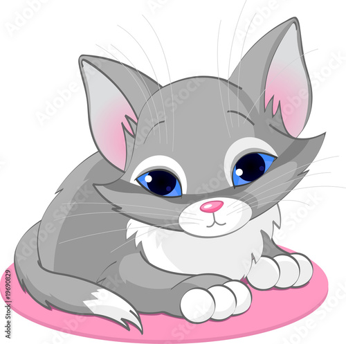 Sitting kitten