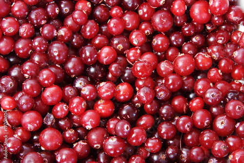 frozen cranberry red