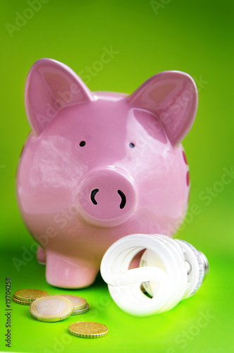 piggy bank with efficient light bulb and Euro coins