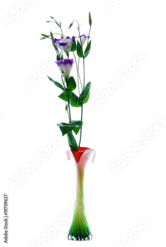Wallpaper Mural Tulip Gentian (Eustoma) in vase  isolated on white background Torontodigital.ca