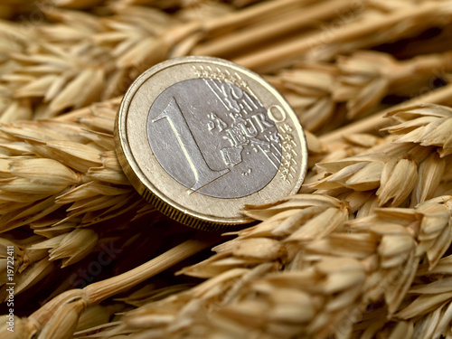Euro and ears of wheat