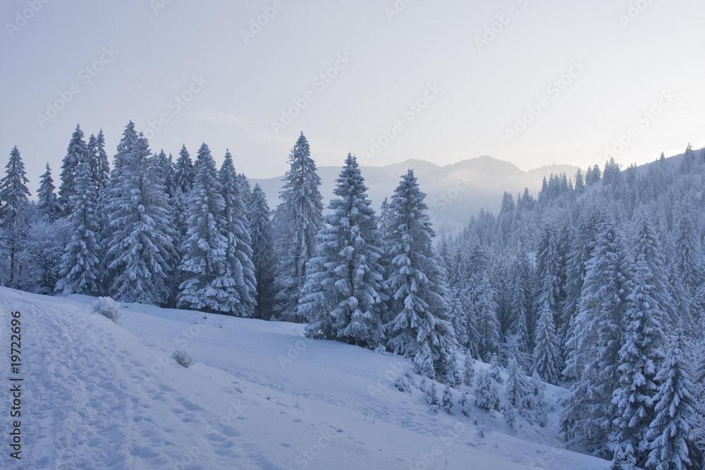 winterlandschaft