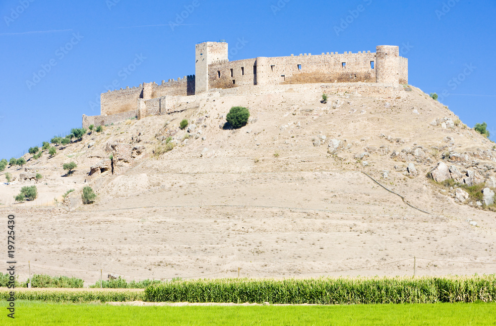 castle in Medellin, Badajoz Province, Extremadura, Spain
