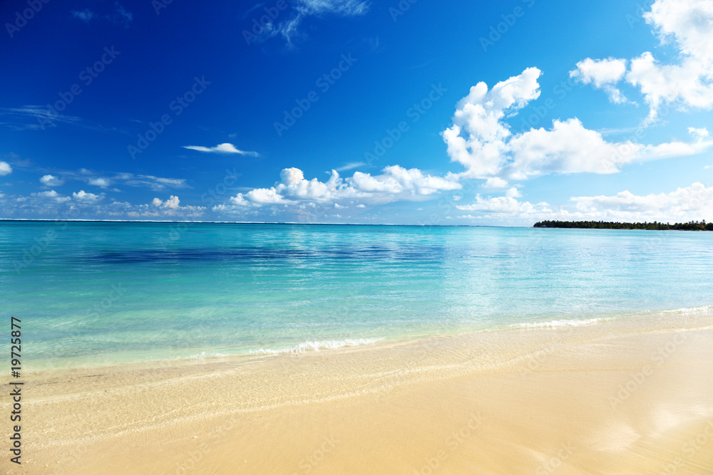 Fototapeta premium sand of beach caribbean sea