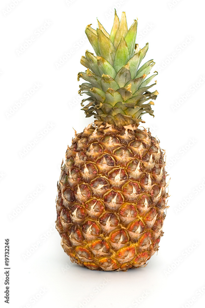 Pineapple Pineapple