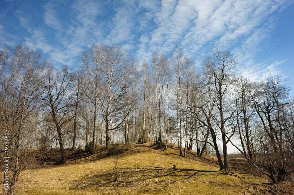 Obraz premium Landscape in March