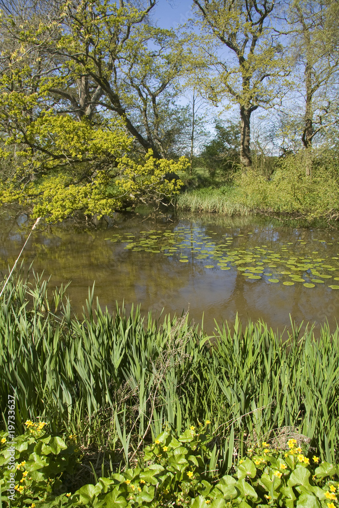 Fototapeta premium Rural setting