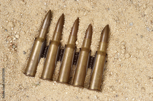 Принти на полотні ammunition on the sand