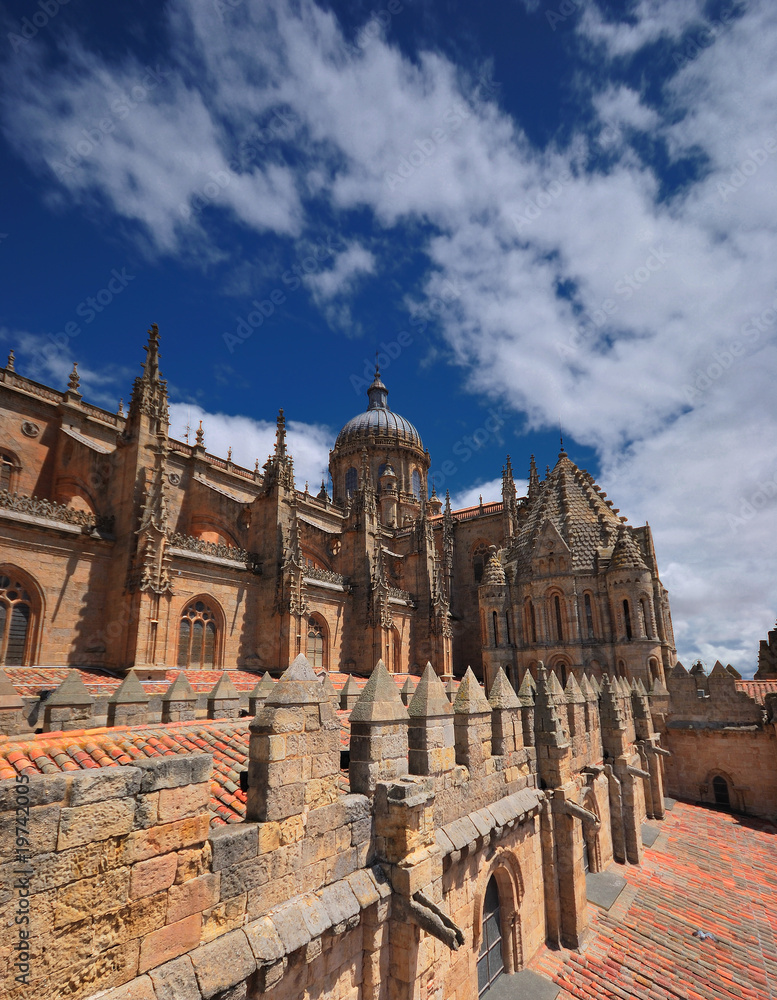 Torres medievales en Salamanca