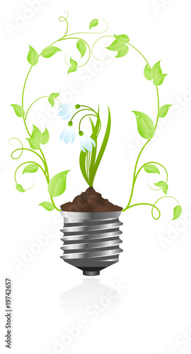 Bulb with plant of snowdrop