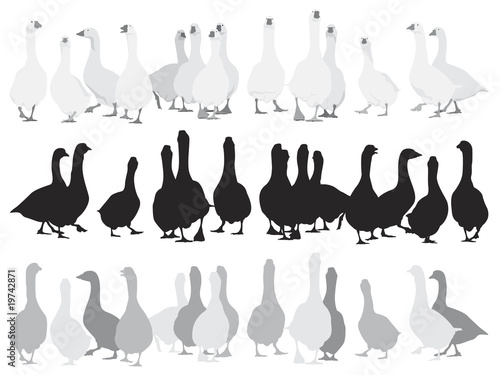 marching  geese, three color version