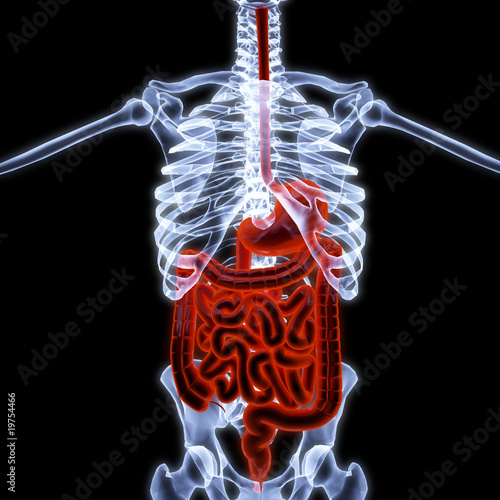 Tableau sur toile human entrails