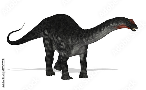 Apatosaurus photo