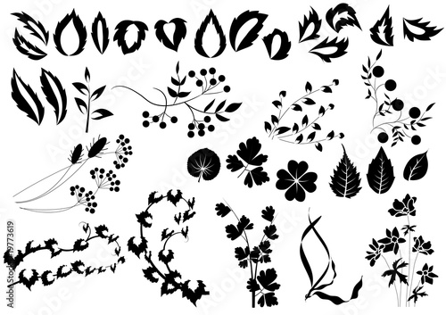 Silhouettes of herbs and flowers