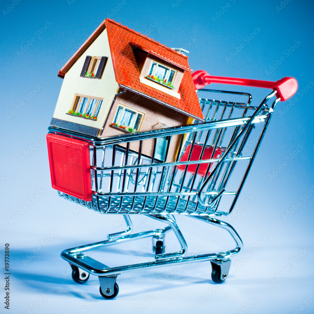 shopping cart and house shopping cart and house