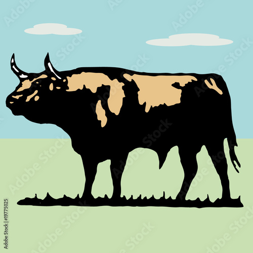 bullfighter, bull, typical spanish vector illustration