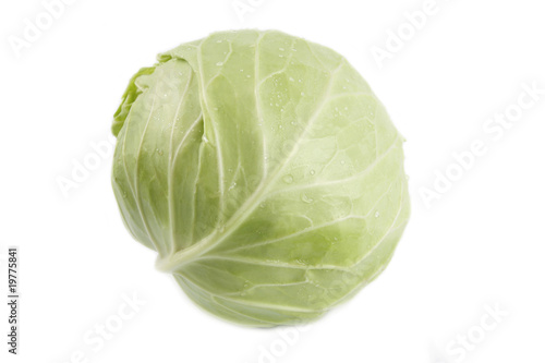 a fresh cabbage