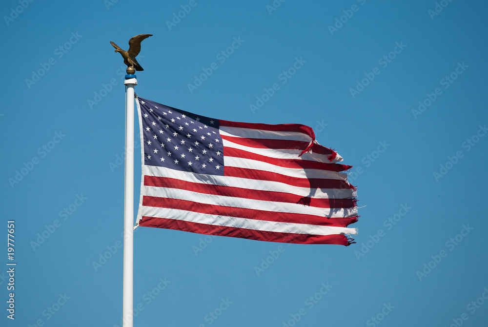 Fototapeta premium Flagge der USA mit Steinadler