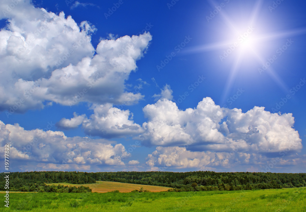 Obraz premium Summer landscape