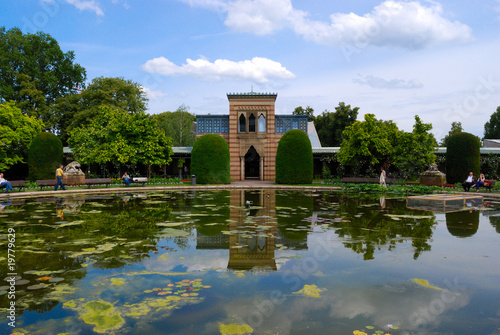 Tranquil pond in Stuttgart zoo
