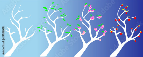natural cycle