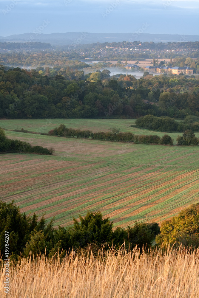 Fototapeta premium Fields in the Morning