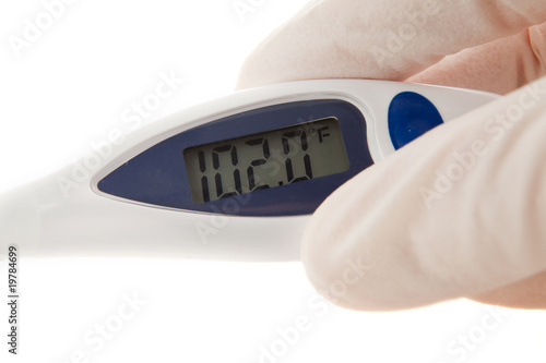 ALatex Gloved Hand Holding An Instant Read Thermometer photo